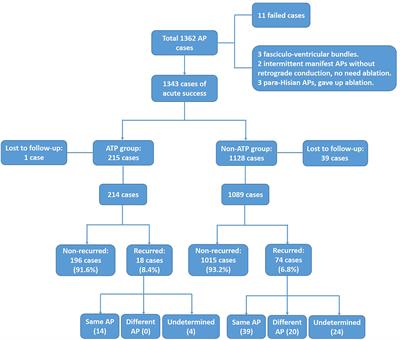 Administration of Adenosine Triphosphate Provides Additional Value Over Programmed Electrophysiologic Study in Confirmation of Successful Ablation of Atrioventricular Accessory Pathways